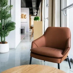 Brown Dining Chair VC-06